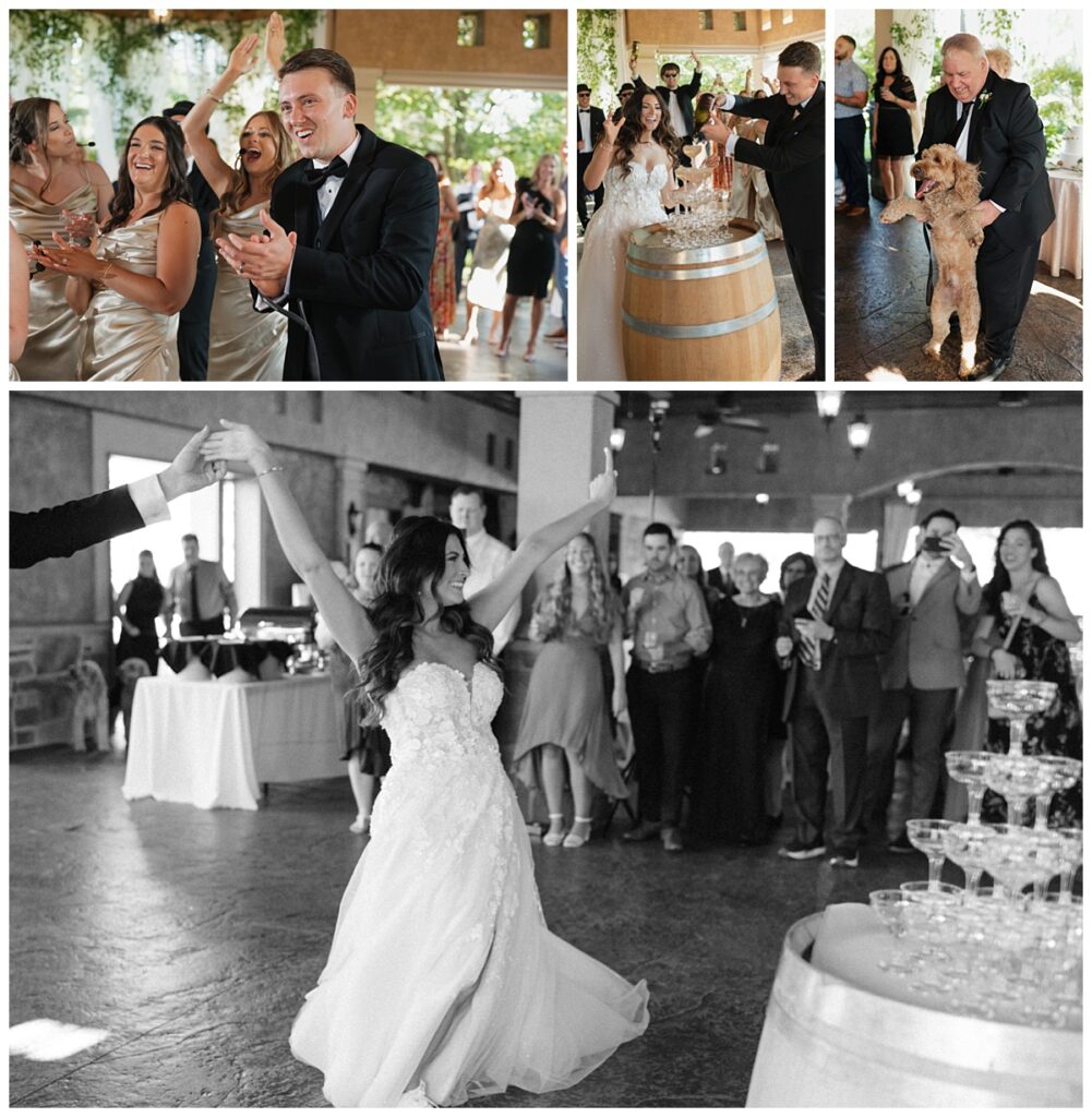 bride and groom wedding reception party at their reception cheers